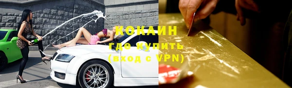 тгк Лагань