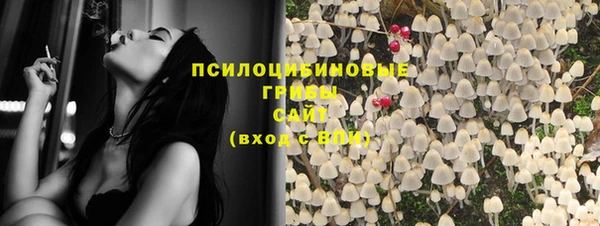 стафф Кукмор