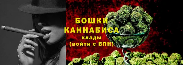 тгк Лагань